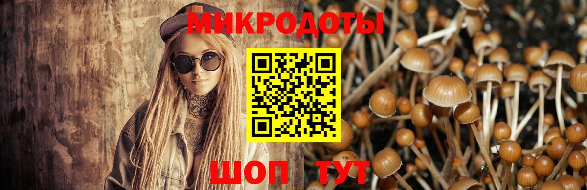 Галлюциногенные грибы мицелий  Вход с VPN  хочу наркоту  Бутурлиновка  Псилоцибиновые грибы мицелий 
